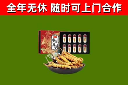 湛江市烟酒回收冬虫夏草礼盒.jpg